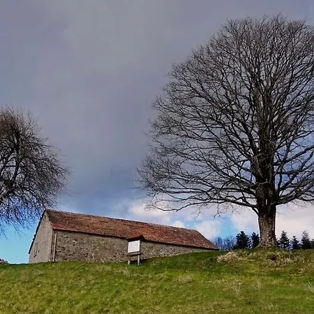 Giu & Dany Bed & Breakfast 3*